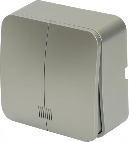 Выключатель двухклавишный с подсветкой (серебро) Stekker София 49298