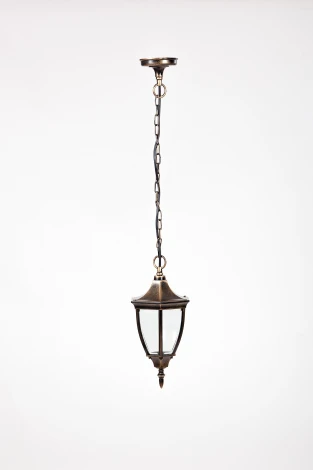Уличный светильник подвесной Oasis Light Coventry 91505