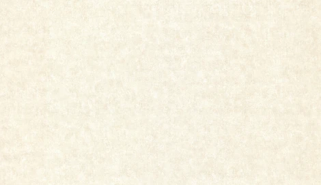 Обои виниловые Marburg Padua Classic 57324 10,05 x 1,06 м