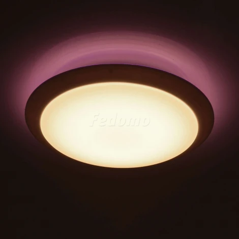 Потолочный светильник MW-Light Ривз 674014301