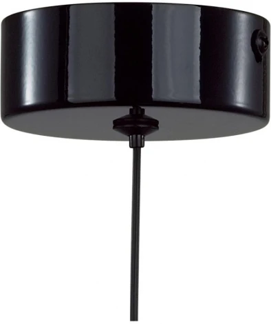 Подвесной светильник Lumion Globe 6568/6L LEDIO белый/черный, хром/металл, акрил 3000-6000K LED 6W 220V (сенсорный выключатель, на проводе)