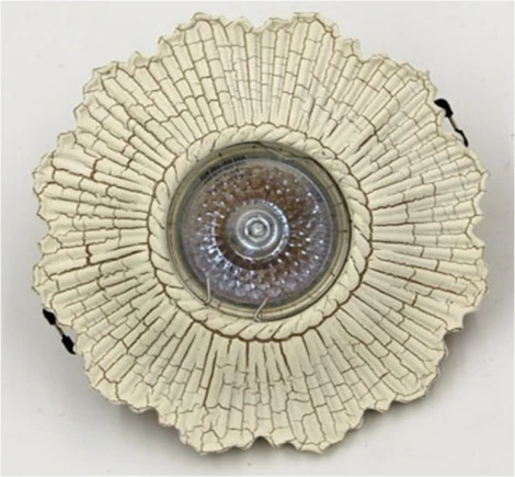 Встраиваемый точечный светильник Imex Камень IL.0025.0860