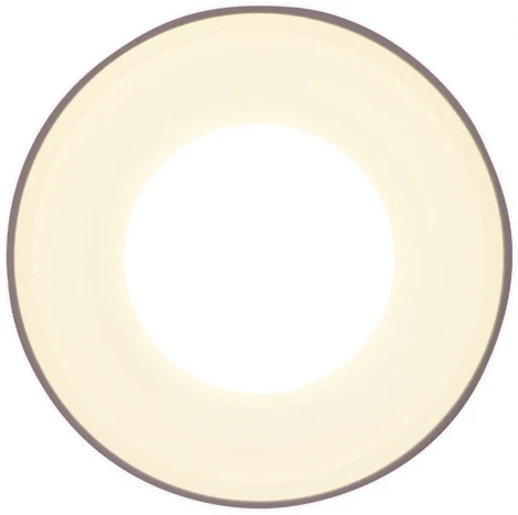 Точечный накладной светодиодный светильник TECHNO SPOT TN3202 (220V)