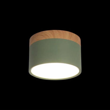 Накладной светильник Grape 10162 Green (LED, 220V, круглые)