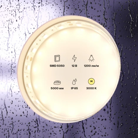 Светодиодная лента Maytoni LSM 12V 5050 10131