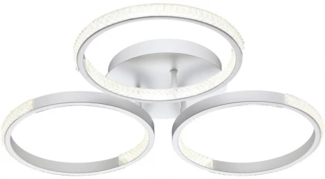 Потолочная люстра светодиодная Calm 358923