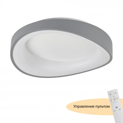 Потолочный светодиодный светильник круглый MyFar Diona MR9190-CL (регулировка яркости, 220V, пульт управления, круглые)