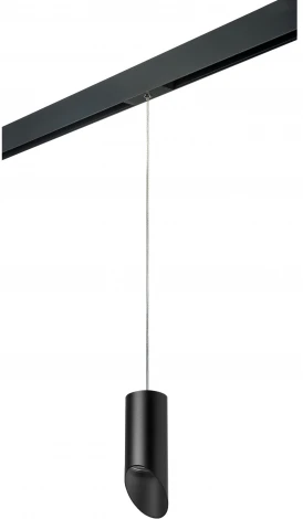 Трековый светильник однофазный 220V Lightstar Rullo PRORP43737 (круглые)