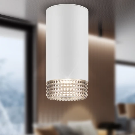 Точечный светильник ЭРА OL40 WH/GR