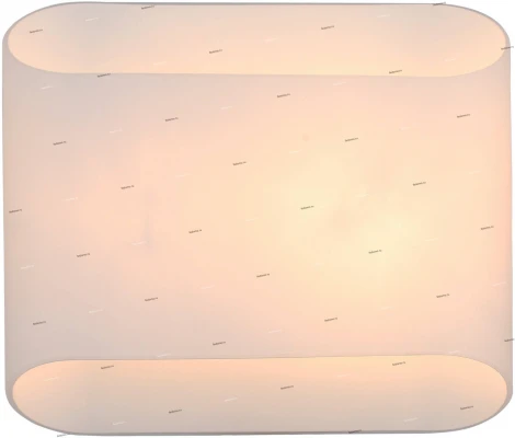 Настенный светильник ST Luce Carino SL537.501.02