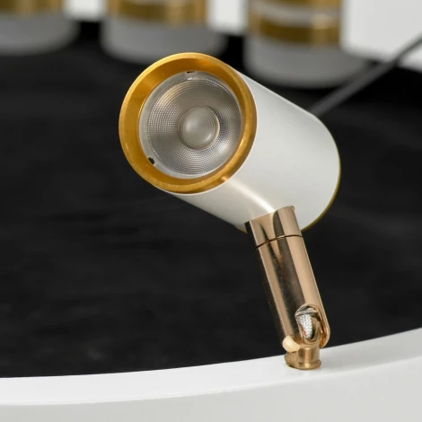 Подвесной светильник со спотом Lussole Gilbert LSP-7176 (LED, 220V, на тросе, круглые)