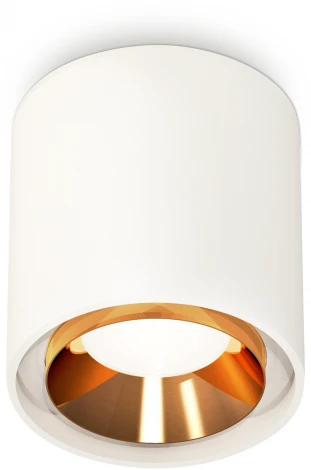 Накладной точечный светильник Ambrella Techno Spot XS7722004 (круглые)