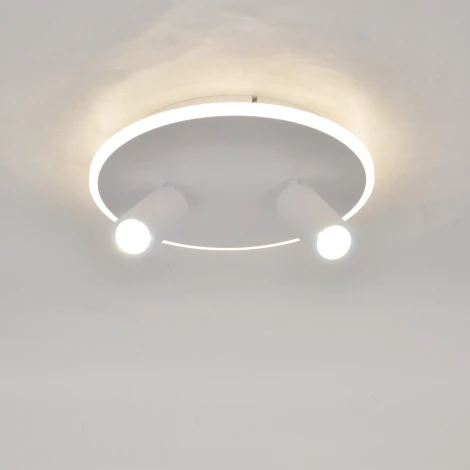 Настенно-потолочный светодиодный светильник 20046LED 20046SMA/02LED WH 28Вт, металл/акрил, белый (220V, круглые)