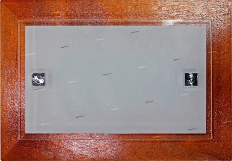 Настенно-потолочный светильник Дубравия Полина 197-23-21