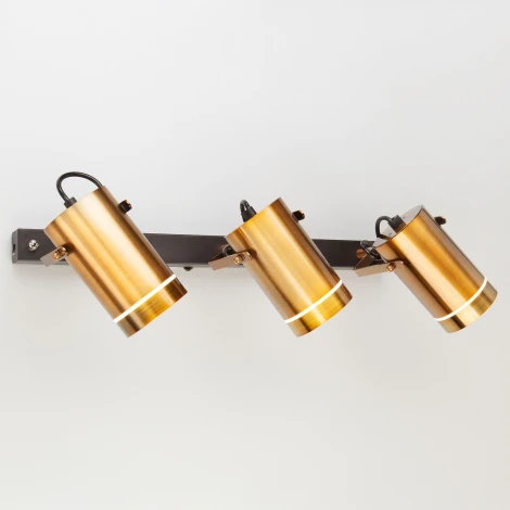 Спот Eurosvet Bronze 20063/3 античная бронза