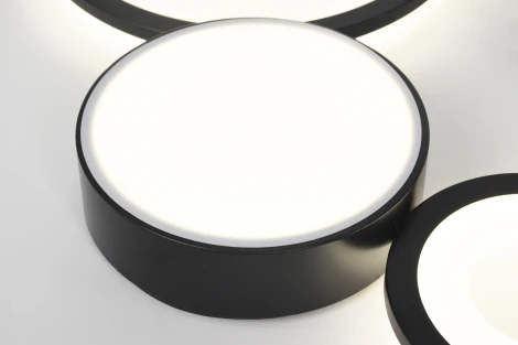 Потолочная светодиодная люстра с ПДУ Rivoli Aliona 6161-201