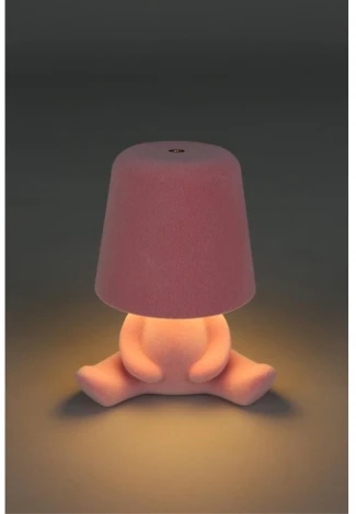 Настольная лампа светодиодная для детской с выключателем Aployt Olka APL.677.14.01 (для девочки)