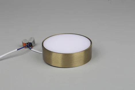 Потолочный светильник круглый Aployt Evon APL.0114.29.12 (LED, 220V, круглые)