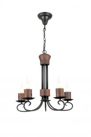Подвесная люстра Arte Lamp Candela A6950LM-5BR