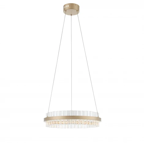 Подвесной светильник ST Luce Cherio SL383.203.01 (LED, 220V, на тросе)