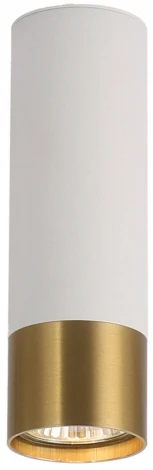 Точечный светильник накладной Lussole Gilbert LSP-8831 (220V, круглые, IP21)