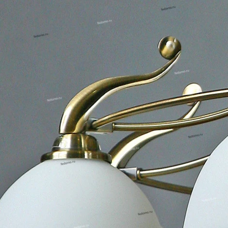 Brizzi Almeria MA02401CA/008 Bronze