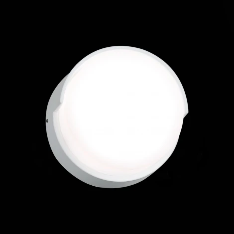 Настенный светильник уличный ST Luce Linata SL090.511.01