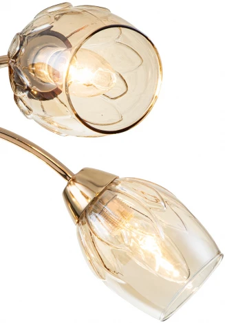 Потолочная люстра Escada Allium 663/5P