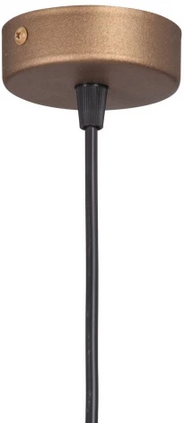 Подвесной светильник V4190-8/1S (220V)