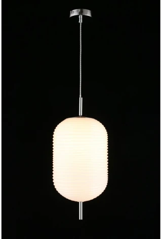 Подвесной светильник Aployt Mattia APL.316.26.01 (220V, на проводе, круглые)