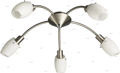 Massive Usagi 50995-17-10