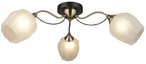 Потолочная люстра Wedo Light Bardi 66658.01.37.03