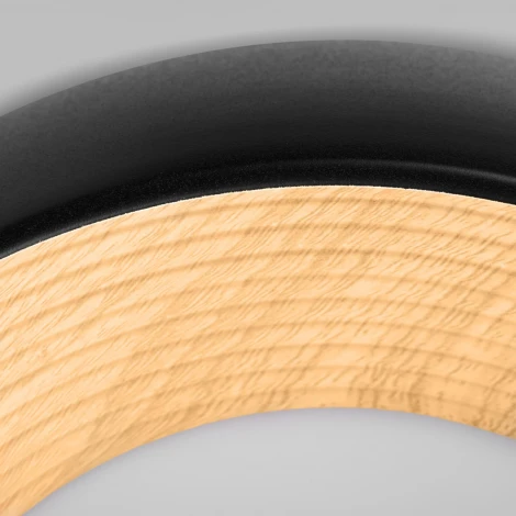 Потолочный светильник круглый Loft It Folk 10255/350 Black (LED, 220V, круглые)