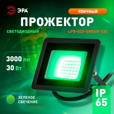 Прожектор уличный светодиодный ЭРА LPR-02 LPR-025-GREEN-030