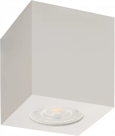 Накладной точечный светильник Denkirs DK3010 DK3010-WH
