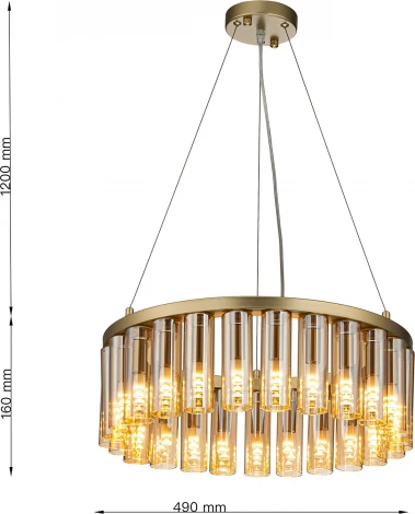 Подвесная люстра Favourite Slang 4503-25P (220V, на тросе, круглые)