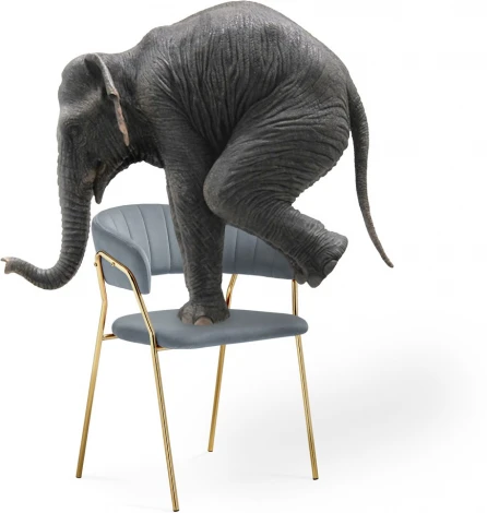 Стул на металлокаркасе Kamelia 1 (Kamelia 1 white fabric / gold) Woodville арт.15756