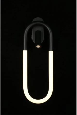 Настенный светильник LED Aployt Bernardet APL.344.01.02 (220V)