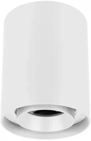 Накладной точечный светильник SP-FOCUS-R110-18W Day4000 (WH, 24 deg, 230V) (Arlight, IP54 Металл) 054838 (LED)