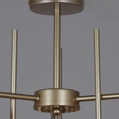Потолочная люстра на штанге Reluce 01508-0.3-03 PG (220V)