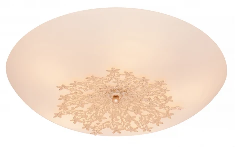 Настенно-потолочный светильник Silver Light Verbena 835.50.5