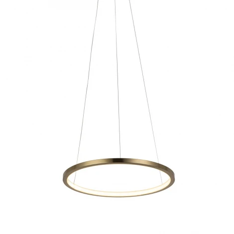 Подвесной светильник Loft IT Ring 10014S (LED, 220V, на тросе, кольцо)