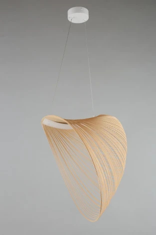 Подвесной светильник Aployt Amareynt APL.655.03.21 (LED, 220V, на тросе)