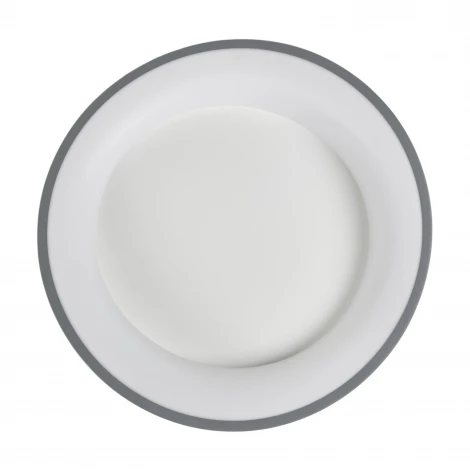 Потолочный светодиодный светильник круглый MyFar Diona MR9190-CL (регулировка яркости, 220V, пульт управления, круглые)