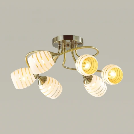 Потолочная люстра Lumion Dorothy 4528/6C