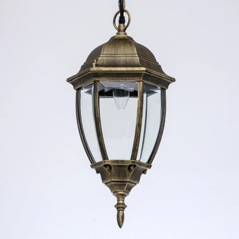 Уличный светильник подвесной DeMarkt Фабур 804010401 (220V, на цепи, IP44)