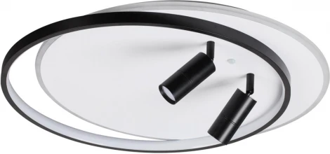 Потолочная люстра Naoko 5603/75CL Lumion (LED, 220V, пульт управления)