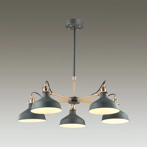 Потолочная люстра Odeon Light Lurdi 3329/5
