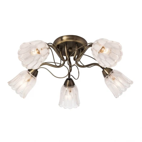 Потолочная люстра Silver Light Azalea 504.53.5