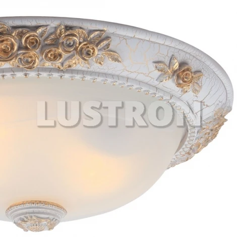 Потолочный светильник Arte Lamp Torta A7102PL-2WG